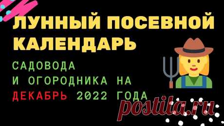 Лунный посевной календарь садовода и огородника на декабрь 2022 года Лунный посевной календарь садовода и огородника на декабрь 2022 года https://youtu.be/ODaidAHSL58__________________Узнайте первым, о чем говорит лунный посев...