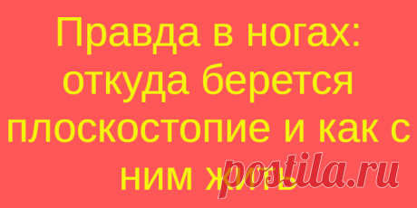 Правда в ногах: откуда берется плоскостопие и как с ним жить
Избежать плоскостопия не так просто, как может показаться на первый взгляд. Оно...
Читай дальше на сайте. Жми подробнее ➡