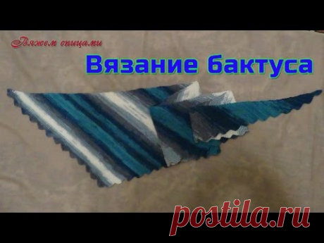 Вязание бактуса. Как связать бактус спицами.