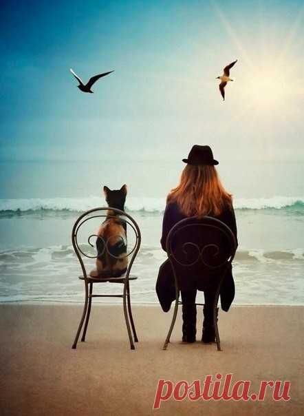 ஜ۩۞۩ஜ●▬▬▬▬▬▬▬▬▬▬ஜ۩۞۩ஜ▬▬▬▬▬▬▬▬●ஜ۩۞۩ஜ


