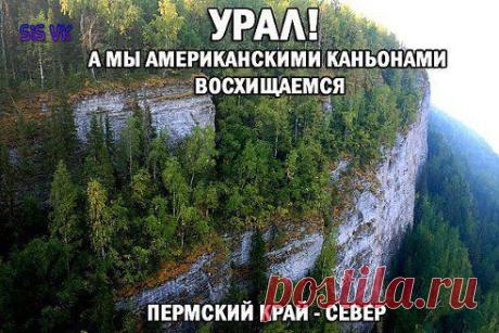 (30) Одноклассники