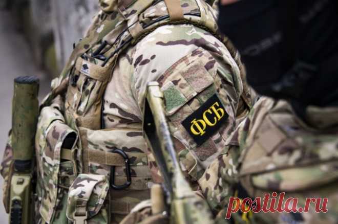 Вред сладкого. СКР раскрыл подробности дела об отравлении летчиков Армавира. Силовики квалифицировали попытку убить военных тортом и виски как теракт.