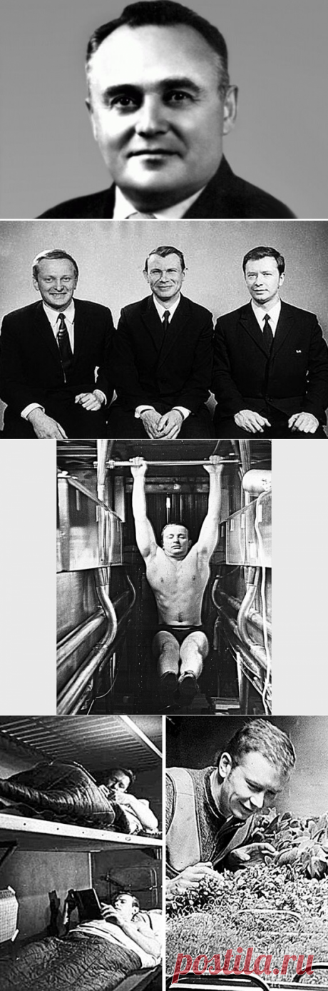Яблони на Марсе так и не зацвели. Хотя полет космонавтов на “красную планету” планировался еще 46 лет назад. | Истории о людях | Яндекс Дзен
