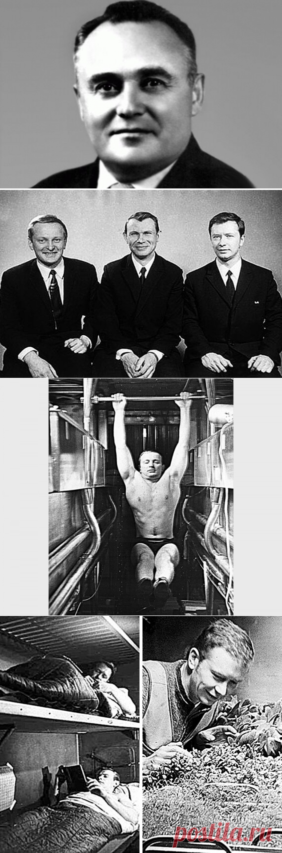 Яблони на Марсе так и не зацвели. Хотя полет космонавтов на “красную планету” планировался еще 46 лет назад. | Истории о людях | Яндекс Дзен