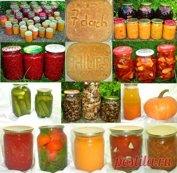 Мои заготовки на зиму и вкуснейший рецепт пирога. / Конкурс дачных рецептов / 7dach.ru