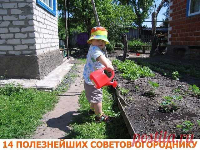 Одноклассники
