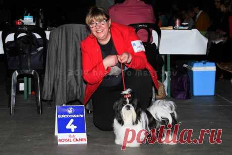 Kortrijk (Belgium)
Eurodogshow International Special Tibetan Breeds Show
Judge : Mrs Eva De Wine (B)
Chesvet Line Nikita
For her first time in Young Female Class at 10 months : 4th Exc. (over 7)