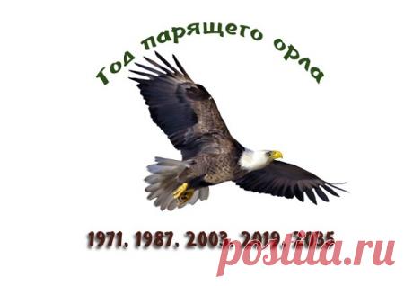 По славянскому календарю
символ 2019 года – Парящий орёл
олицетворение солнечного божества...
Расправляем крылья и – летим !
Нечего хрюкать ! )