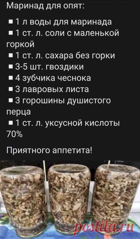 маринад для опят