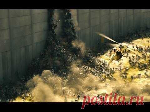 | Самые классные видео из сетиСамые классные видео из сети