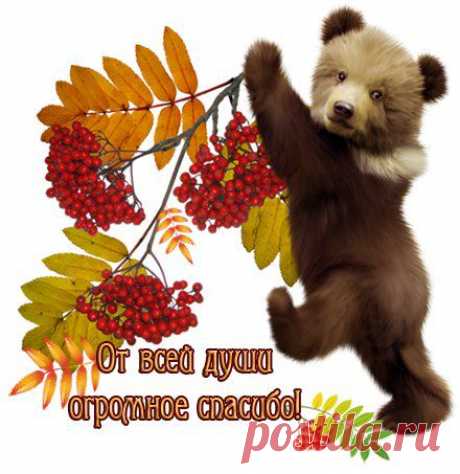 Новости
СПАСИБО за улыбку и мечту,
За то, что часто вспоминаешь,
За всё твоё тепло и доброту,
И что мне время посвящаешь.
Я вас, друзья, благодарю
От всей души! Я вас люблю!