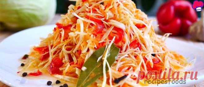 (19) Главная / X