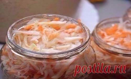 Очень быстрая капустка