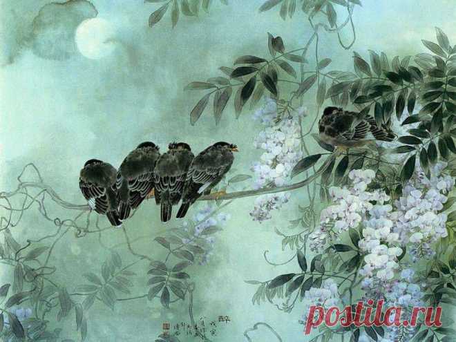 ЦветочноПернатое|Zou Chuan An.