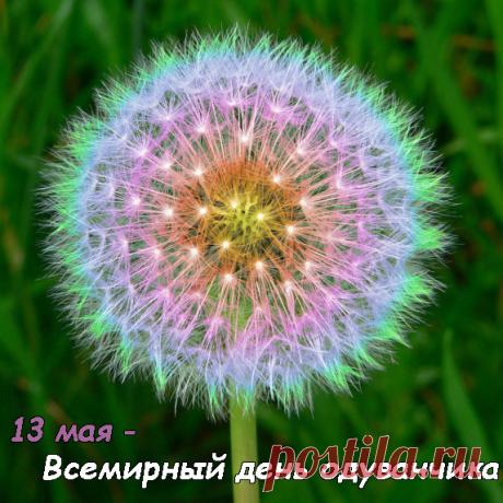 Со Всемирным днем одуванчика! Пусть солнце светит всегда! Открытки на Всемирный день одуванчика!