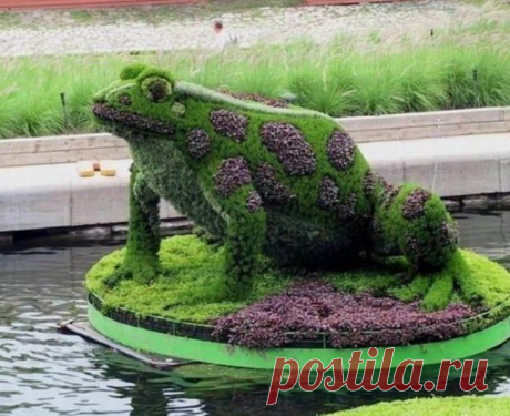 царевна-лягушка.jpg (736×600)