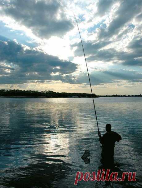 С маховой удочкой - на бровке