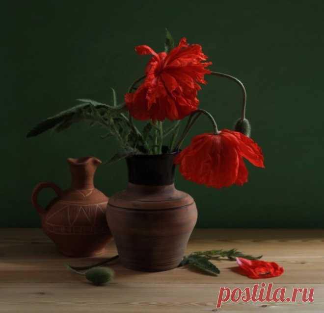 Пламенеет огромный мак в лоне темного натюрморта