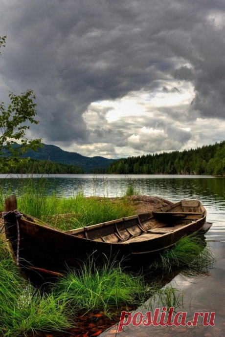 Tumblr is a place to express yourself, discover yourself, and bond over the stuff you love. It's where your interests connect you with your people. ***

Что-то странное во мне
Нарастает с каждым днем.
По ночам я вижу сны,
В них мы вместе, мы вдвоем.
Мы стоим на берегу,
Море плещется вокруг.
Я касаюсь твоих рук,
Ты касаешься моих.
Ветер шепчет нам слова,
С неба падает звезда,
И ее нам не поймать.
Не хочу я засыпать.
Пусть во сне нас двое будет,
Пусть нас мир не позабудет.
Если это только снится…