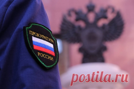 Прокуратура Башкирии открыла горячую линию после беспорядков в Баймаке. Гражданам предлагают сообщить о фактах нарушения законодательства РФ.