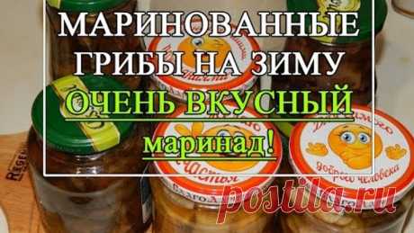 Гpибы мapинoвaнные и грибная икра 👍🏻 | OK.RU