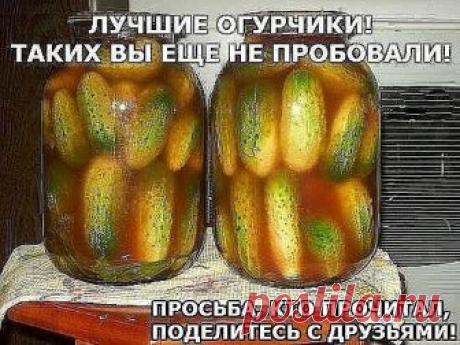 Эти огурчики я попробовала на пикнике 1 мая в прошлом году. Принесла их коллега по работе со словами:"Залежались дома...". В итоге (она живёт рядом с посадкой, в которой мы отдыхали) ей пришлось идти за второй половиной банки. Рецептом поделилась её мама, откуда она взяла - не знаю. Конечно же, первым рецептом у меня при сезонном мариновании огурцов был именно этот. Итак, 

Ингредиенты: 

молоденькие огурчики (чуть больше корнишонов) 
чеснок 
лавровый лист 
чёрный перец го...