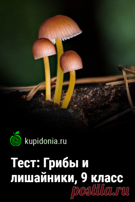 Тест: Грибы и лишайники, 9 класс. Тест по биологии по школьной программе для 9 класса по теме «Грибы и лишайники». Проверь свои знания! Тест по теме "Грибы и лишайник" для учащихся 9 класса. Работа содержит 6 заданий с выбором ответа из предложенных.
1. Грибы, в отличие от растений, имеют:
1) тело и корни
2) тело представлено мицелием
3) тело состоит из одной клетки
4) тело не имеет корней и стеблей
5) тело покрыто оболочкой
2. Грибы не имеют:
3) клеточную оболочку
4. Грибы размножаются:
4) сп…