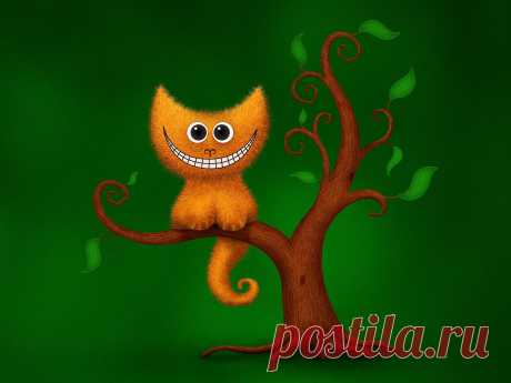 smiling-cat-wallpapers_26592_1920x1440.jpg (1920×1440)