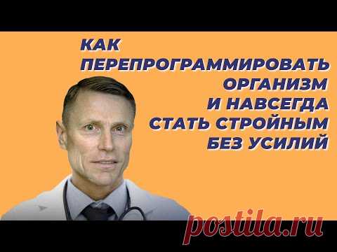 Как перепрограммировать организм и навсегда стать стройным без усилий
