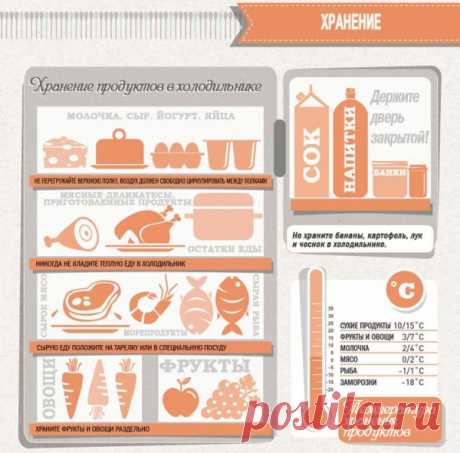 Шпаргалка для кухни: хранение продуктов в холодильнике.
