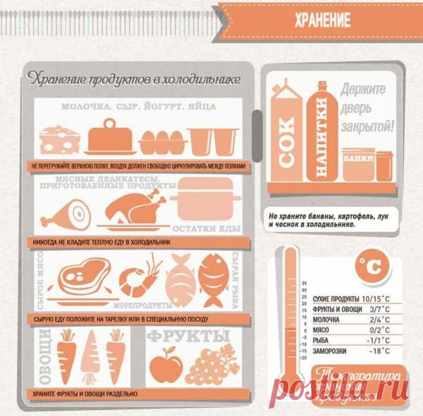 Шпаргалка для кухни: хранение продуктов в холодильнике.
