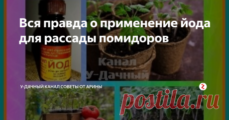 Вся правда о применение йода для рассады помидоров Полезно или нет применение йода для рассады помидор? В связи с многочисленными публикациями на данную тему, у многих огородников возникает данный вопрос. Сегодня постараемся разобраться, нужно или нет применять йод при выращивании рассады помидор.