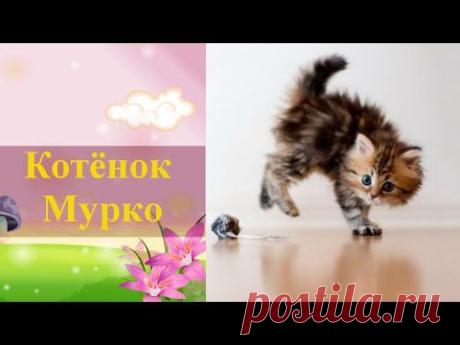 Детский стих про котенка. Котёнок Мурко - YouTube