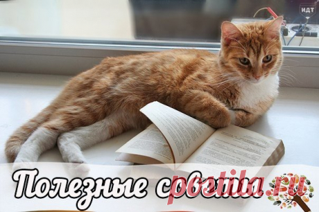 Классные советы на все случаи жизни. 

1. Пульсирующую головную боль можно облегчить, потерев лоб половинкой лайма. 
2. Если вы задумали испечь печенье и обнаружили, что у вас нет яиц, знайте, что их с успехом могут заменить...Смотреmь продолжение в источнике...