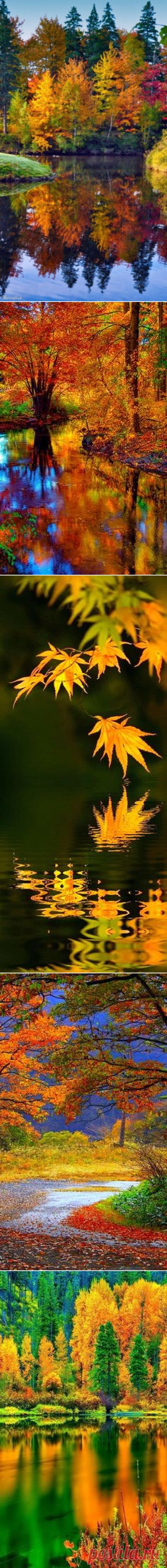 Осень on Pinterest