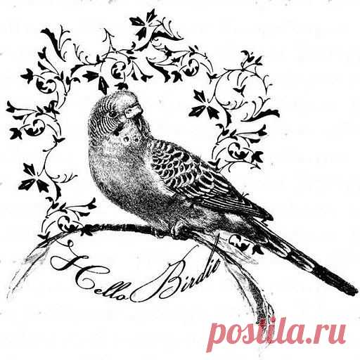 Картинки для творчества | 1 795 фотографий | ВКонтакте
