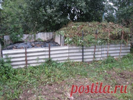 5 этапов создания правильного компоста