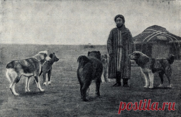 Мало кому известный факт