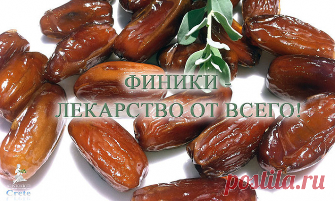 20 ФАКТОВ О ФИНИКАХ.