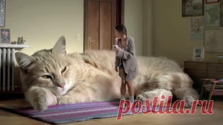 Вы будете удивлены. но в этих странах нет центрального отопления.