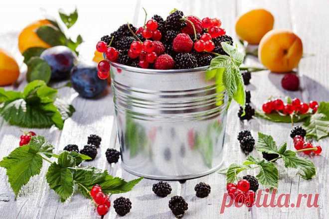Плодовые косточки иногда полезнее, чем сами фрукты.