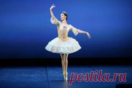 Яндекс Картинки: поиск похожих изображений