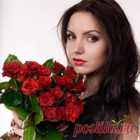 Роза сорт Эль Торро - Viaflor