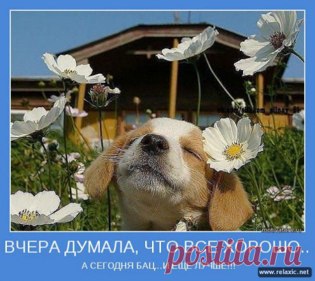 motivator_00048.jpg (640×570)