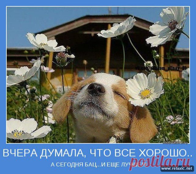 motivator_00048.jpg (640×570)