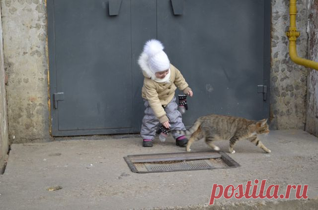Юлия Цветкова (Савчук)
21 год, Россия, г. Протвино (Московская область)