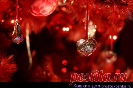 Новогодние ритуалы и обряды в год Обезьяны 2016

По традиции мы начинаем приветствовать приход очередного «хозяина года» не в феврале, когда наступает Новый год по восточному календарю, а в ночь с 31 декабря на 1 января. Обезьяна – одно из самых мистических животных, и конечно, ей понравятся магические ритуалы для привлечения удачи. Вот некоторые из них.