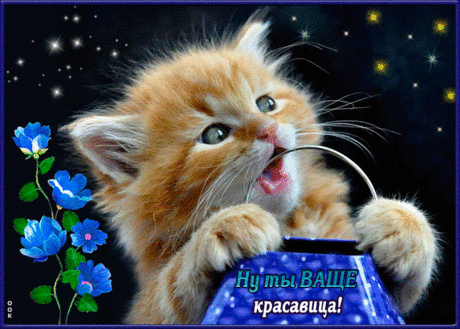 Открытка Ты красавица моя подруга - Скачать бесплатно на otkritkiok.ru
