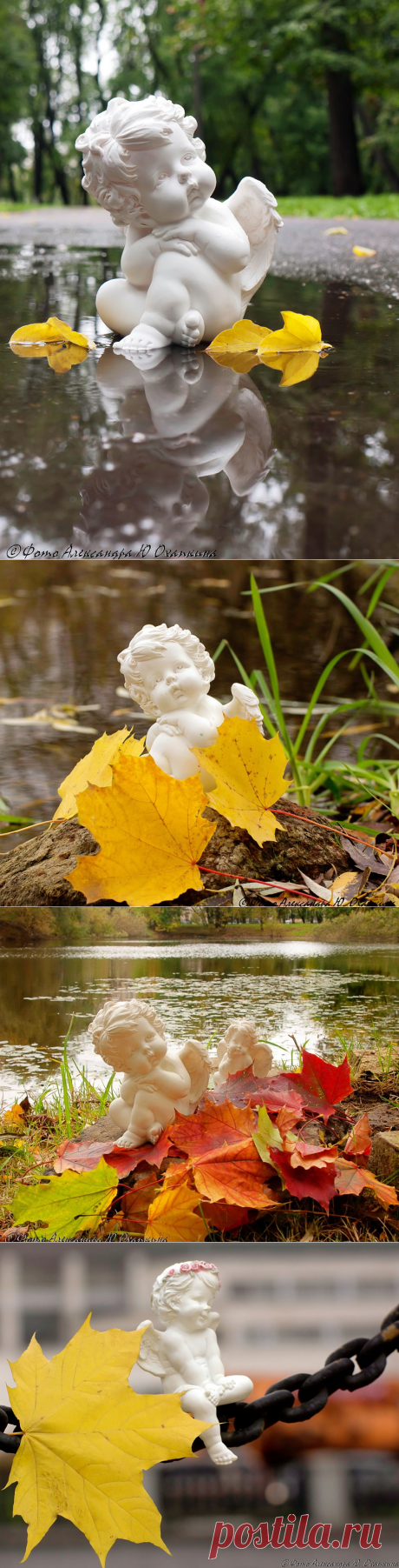 Улыбка ангела... Фотограф Александр. Ю. Охапкин.