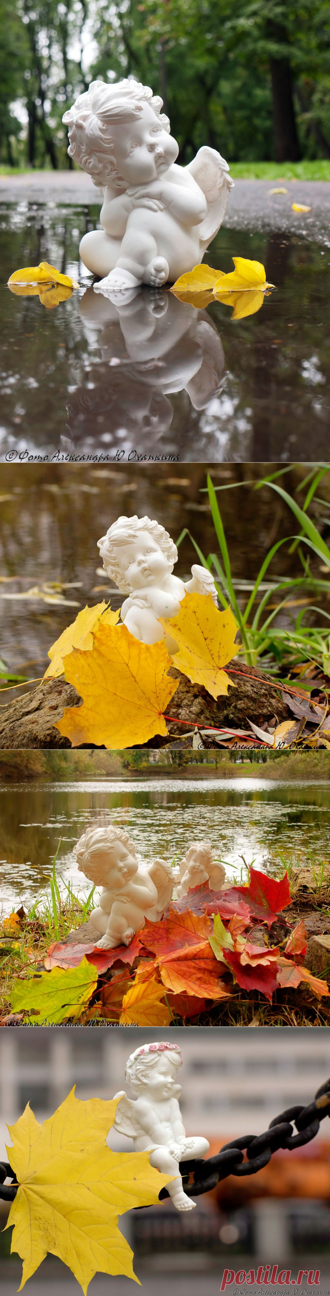 Улыбка ангела... Фотограф Александр. Ю. Охапкин.